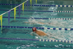 ac米兰-全国大学生花样游泳大赛优秀节目连连，2020年全国花样游泳比赛